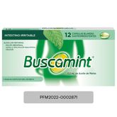 -Buscamint-Capsula-Blanda-de-Gelatina-con-Cubierta-Enterica